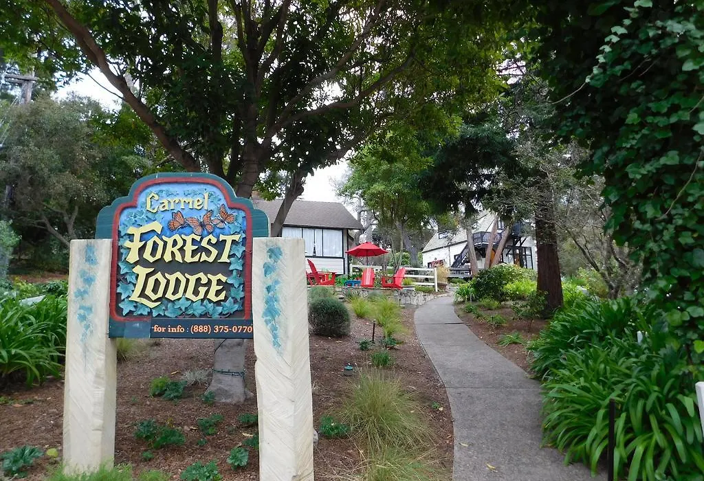 Forest Lodge-1